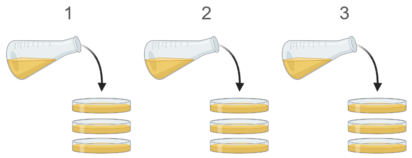 Biological replicates example