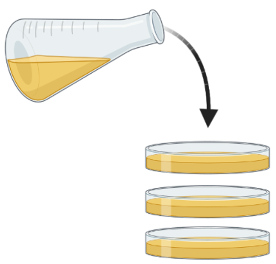 Technical replicates example